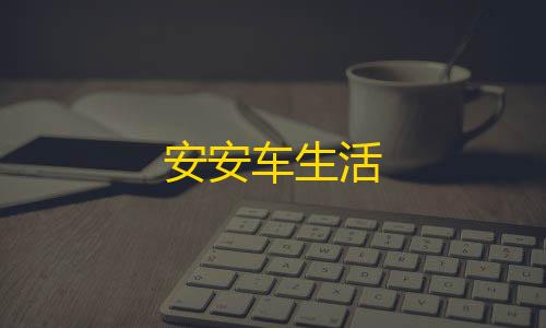 冰块直装V5.0无需卡密安安车生活